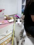 めろん