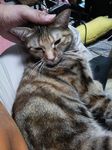 うり3